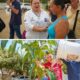 Santa Marta fortalece su recuperación verde con más de 2.500 árboles y plantas sembrados por el Dadsa
