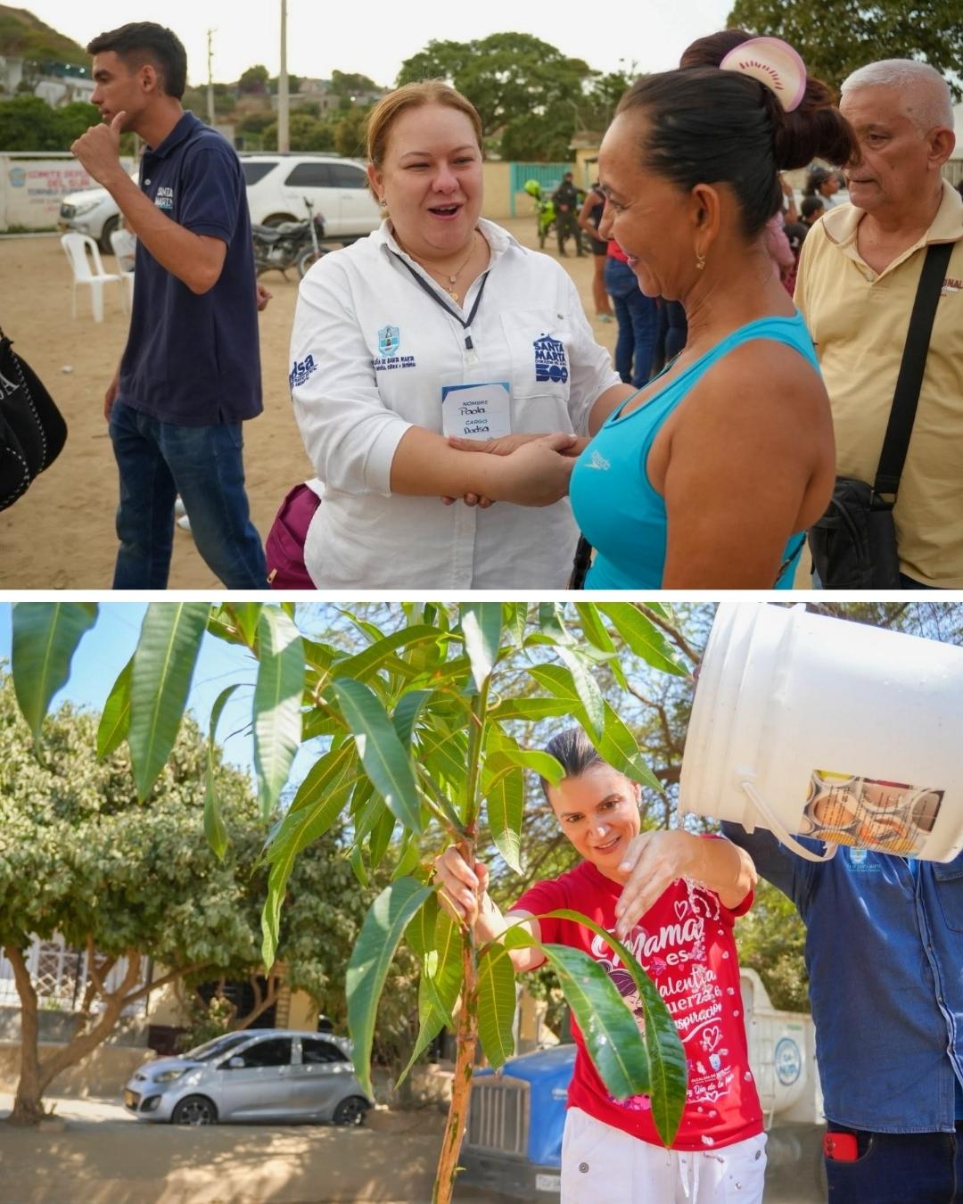 Santa Marta fortalece su recuperación verde con más de 2.500 árboles y plantas sembrados por el Dadsa